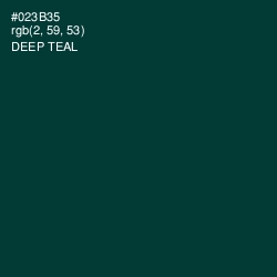 #023B35 - Deep Teal Color Image